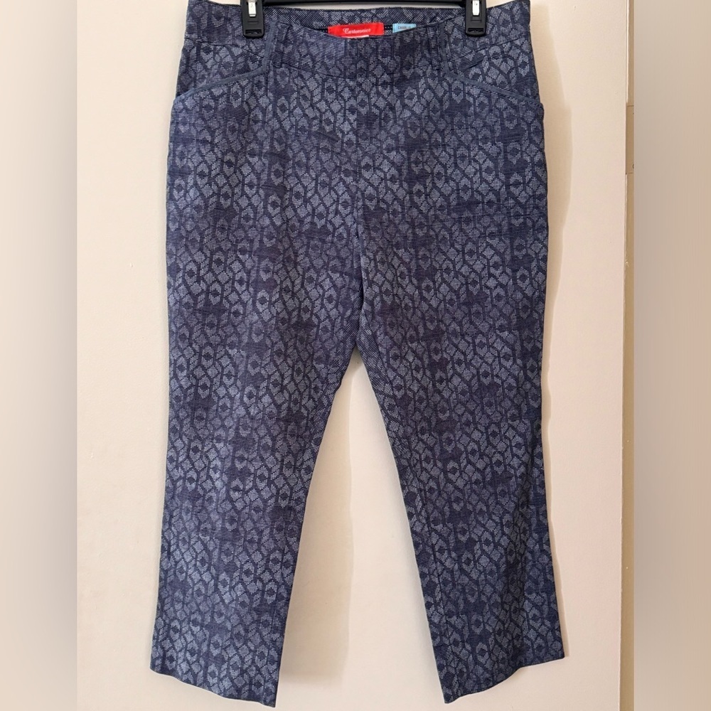ANTHROPOLOGIE Cartonnier Charlie Trouser Women’s Side Zip Blue W/Gray Pattern 12